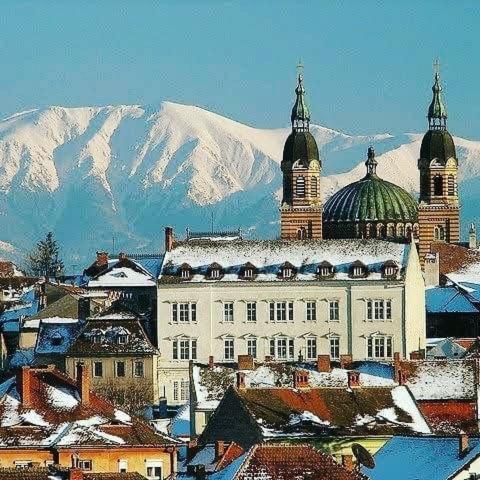 Cozy Residence Сібіу Екстер'єр фото