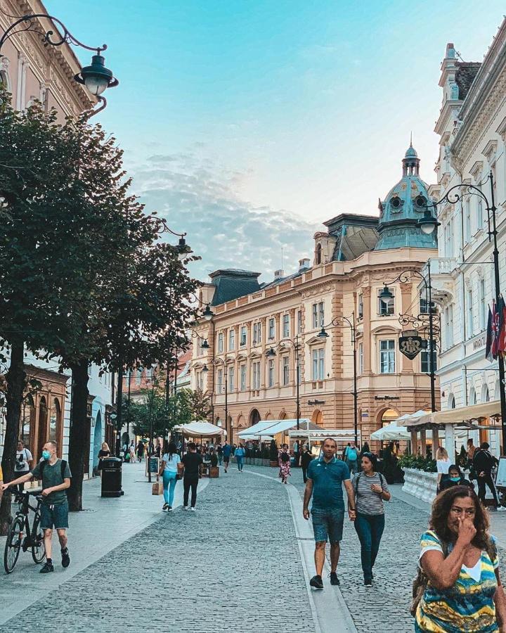 Cozy Residence Сібіу Екстер'єр фото